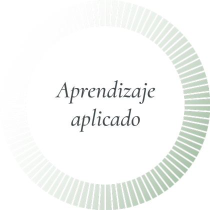 Aprendizaje aplicado