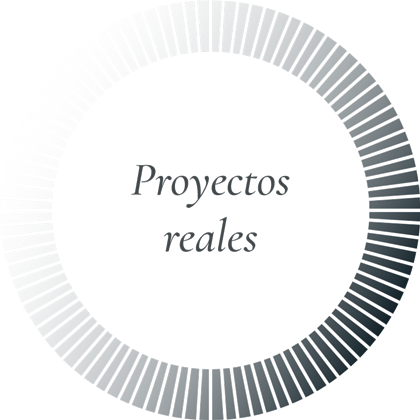 Proyectos reales
